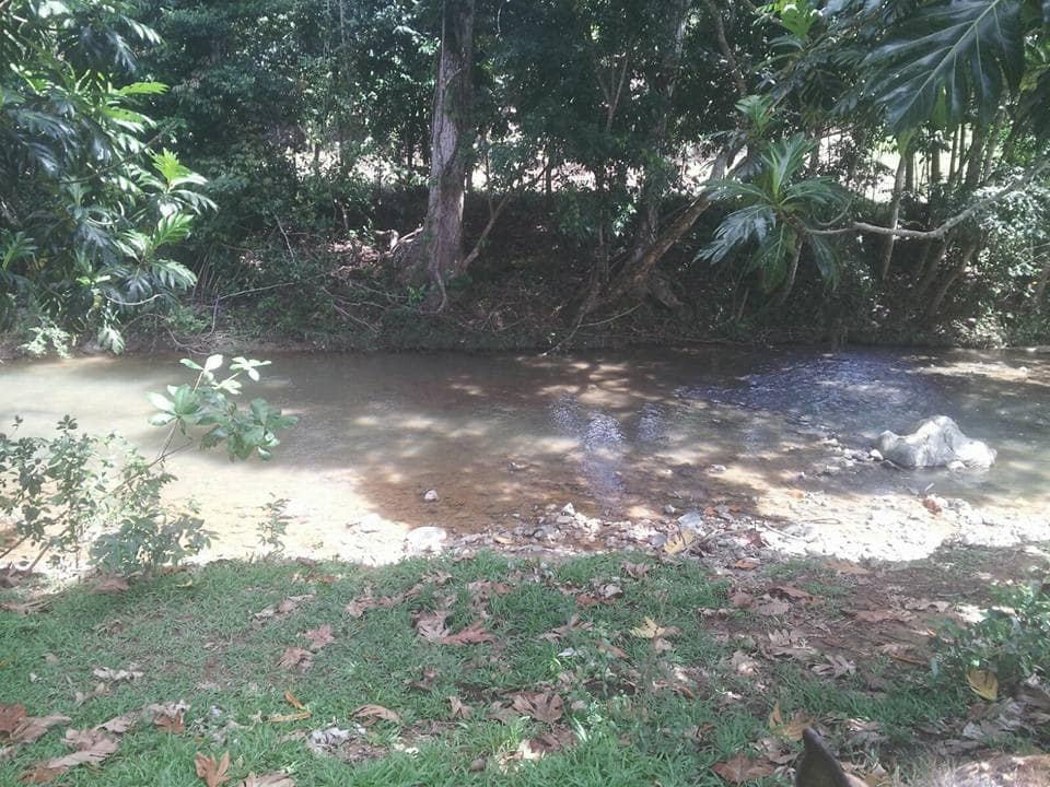 finca600tasrsj-1