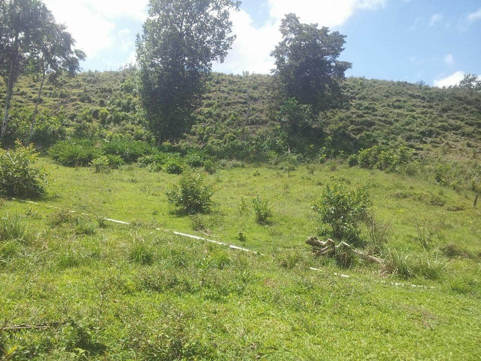 finca600tasrsj-2