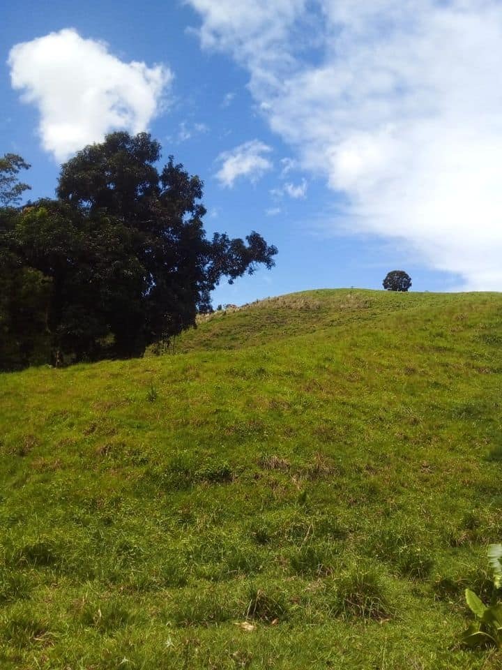finca600tasrsj-3