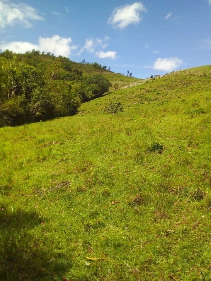 finca600tasrsj-6